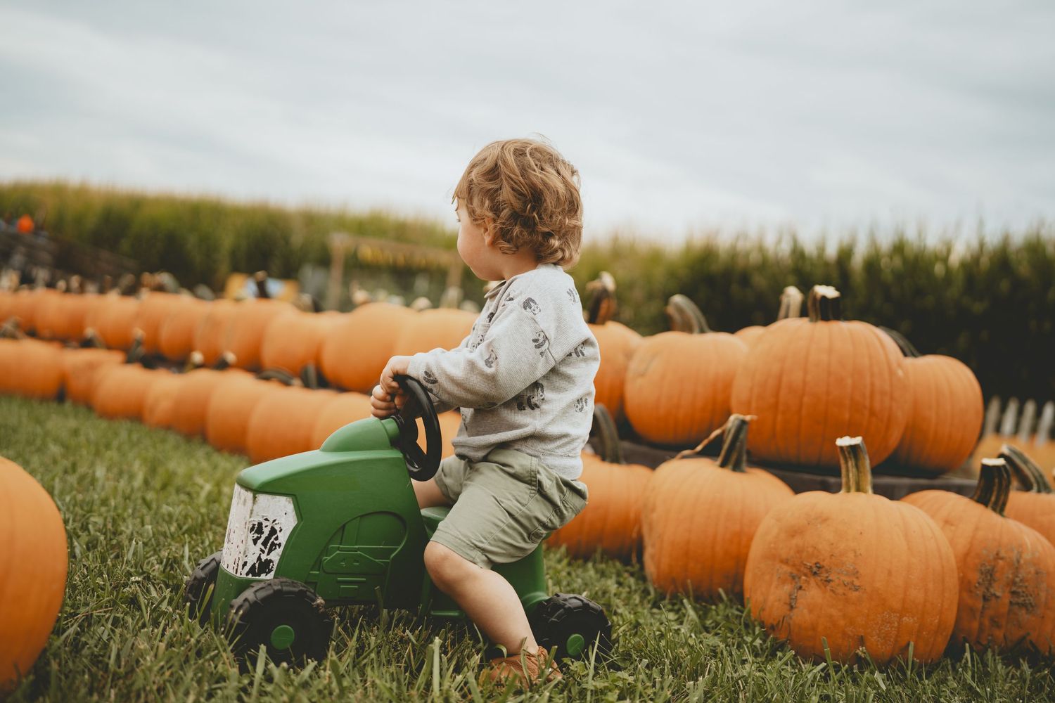 Toddler riding a green toy tractor among rows of orange pumpkins at a fall pumpkin patch.