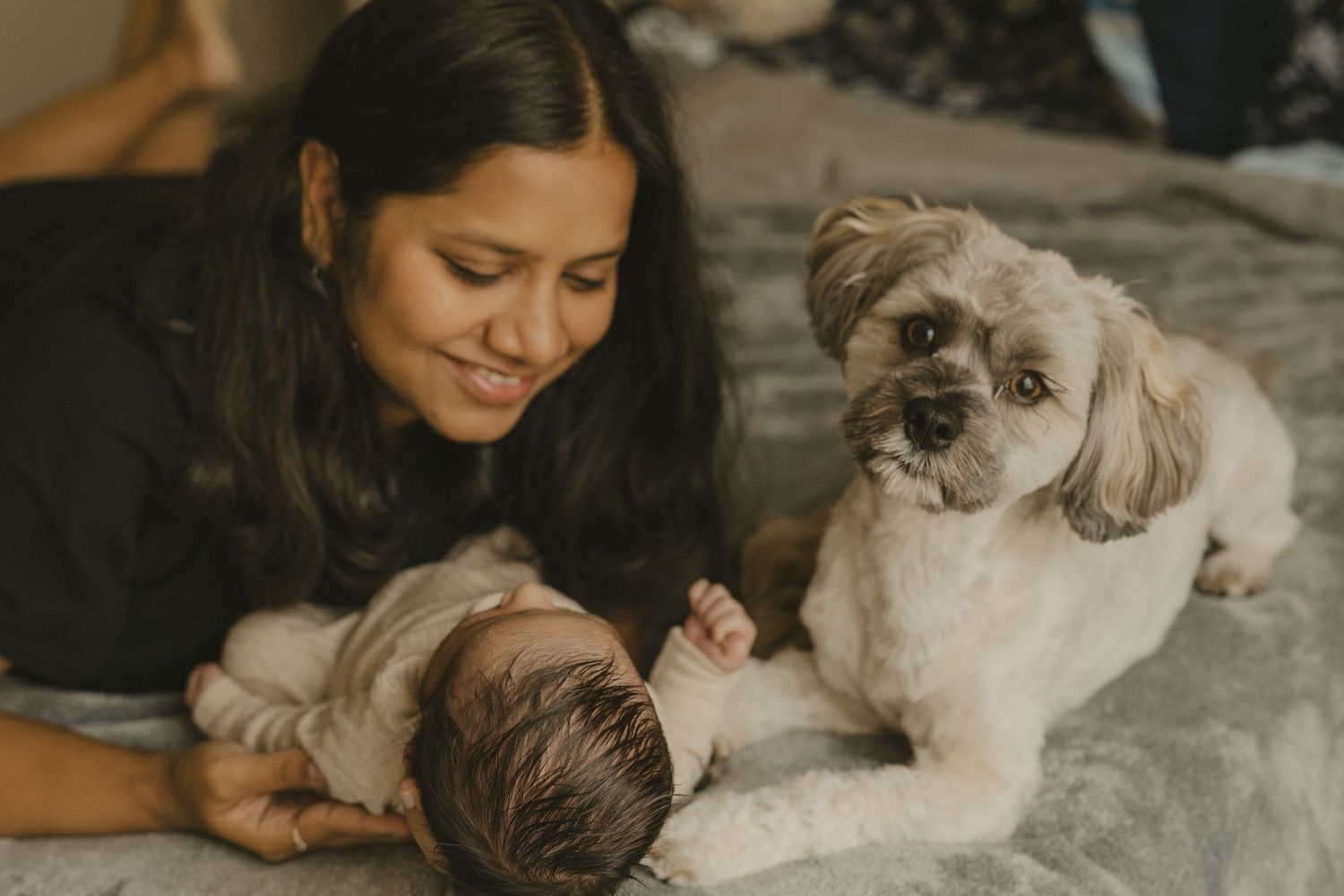Mother lying on bed smiling at her newborn baby alongside a fluffy Shih Tzu dog.