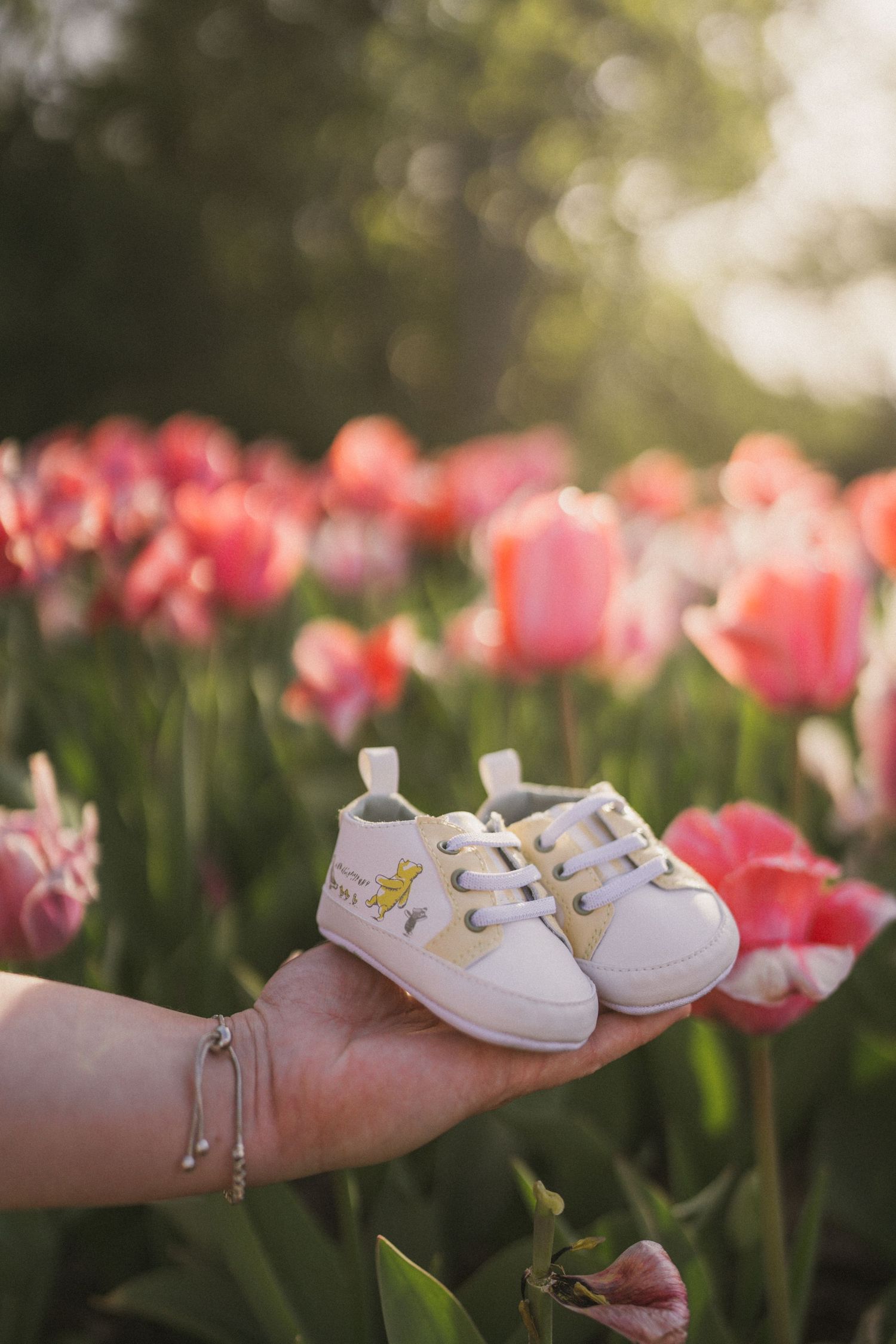 Hand holds tiny white baby sneakers against a vibrant field of pink tulips in warm golden sunlight.