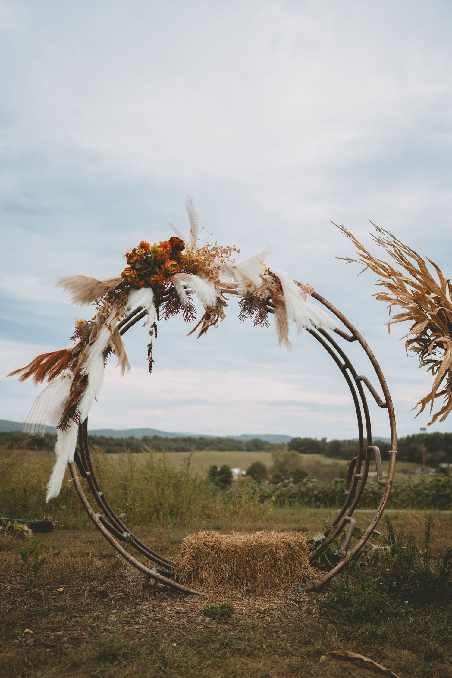 Circular metal wedding arch adorned with pampas grass and fall flowers in an open meadow.