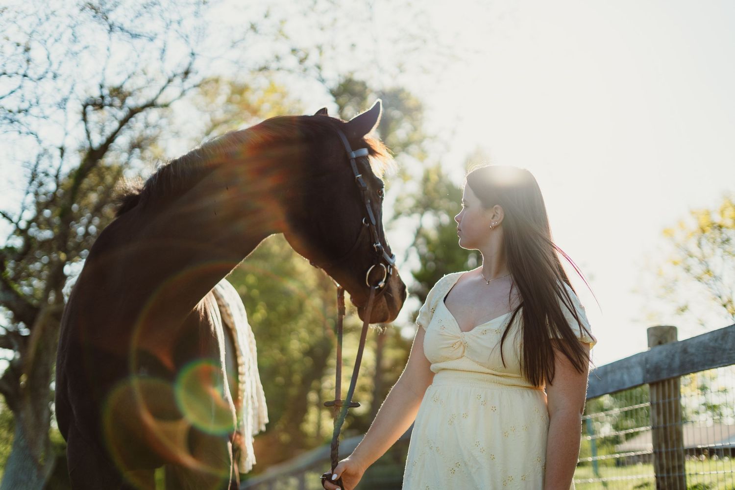 A young woman in a white dress stands face-to-face with a dark horse in a sunlit outdoor paddock.