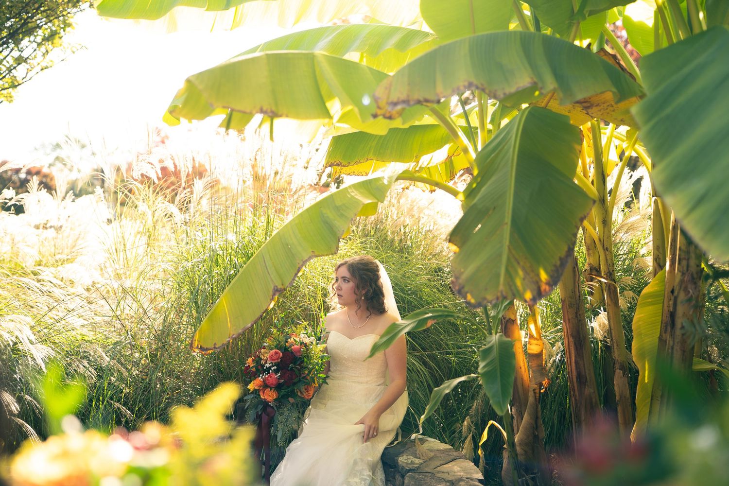 Bride in white gown standing among lush tropical banana plants in golden sunlight.