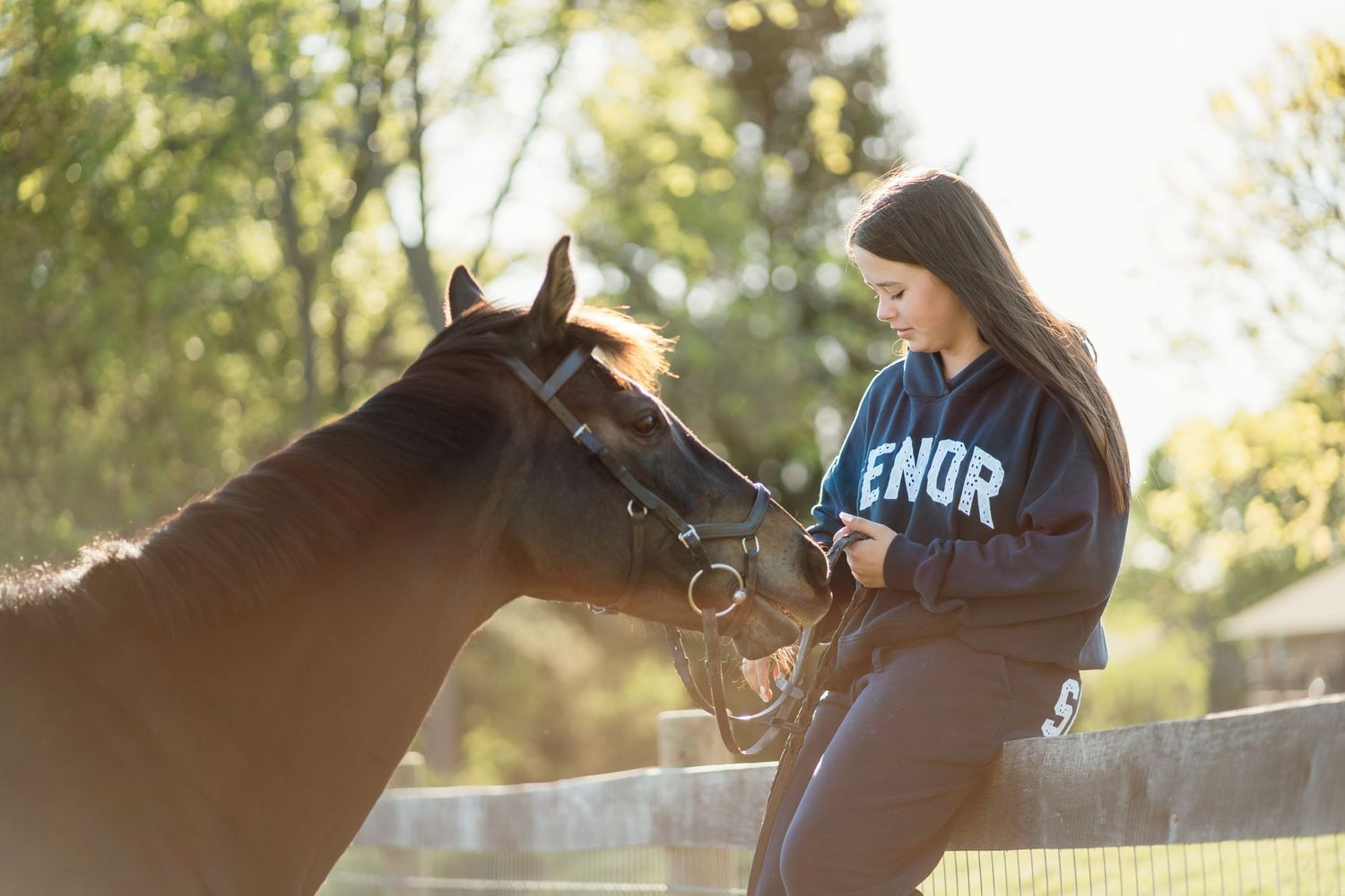 A teenage girl in a blue sweatshirt sits on a fence interacting closely with a chestnut horse outdoors.