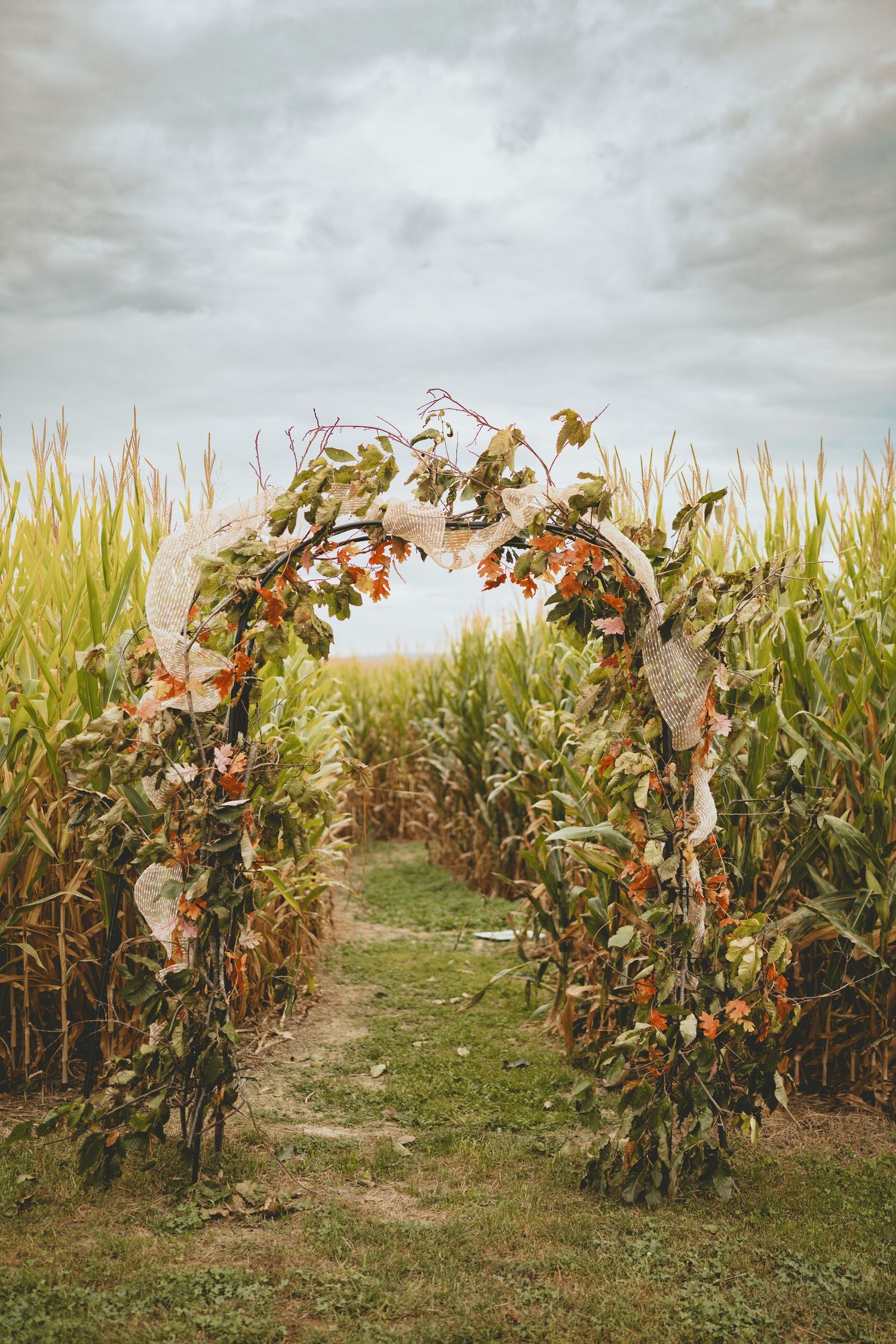 Decorative floral arch with autumn leaves and berries framing a path through a cornfield.