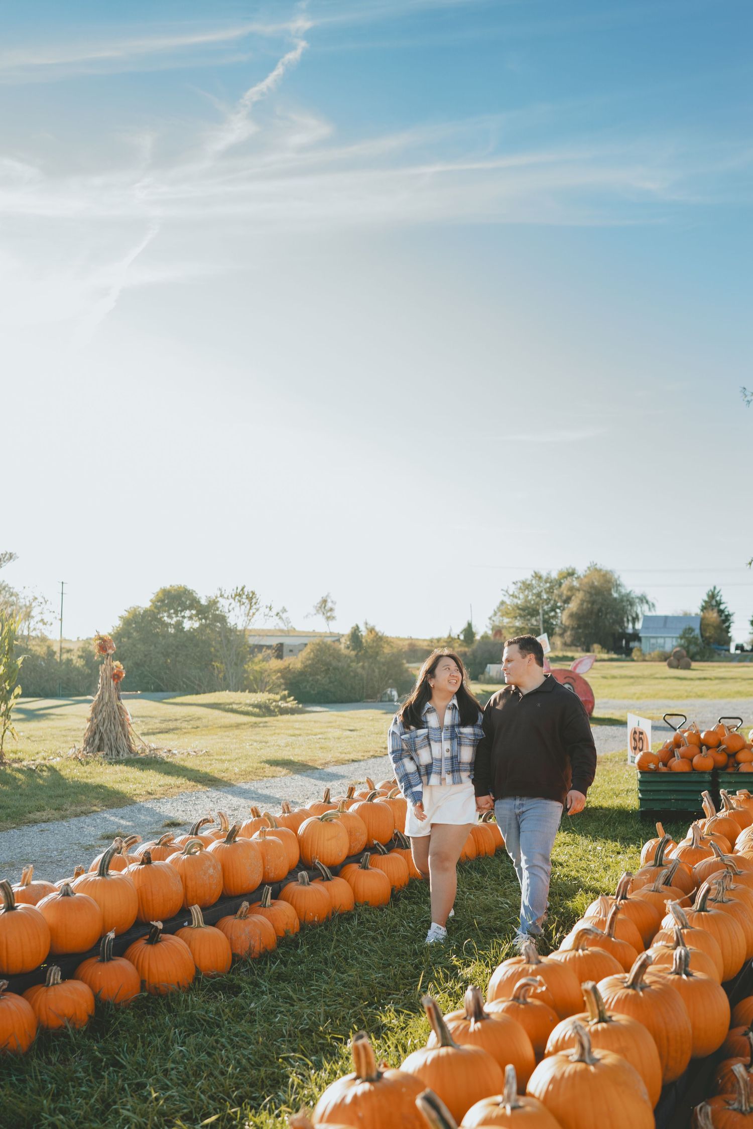 Couple walking hand-in-hand through rows of orange pumpkins on a sunny fall day.