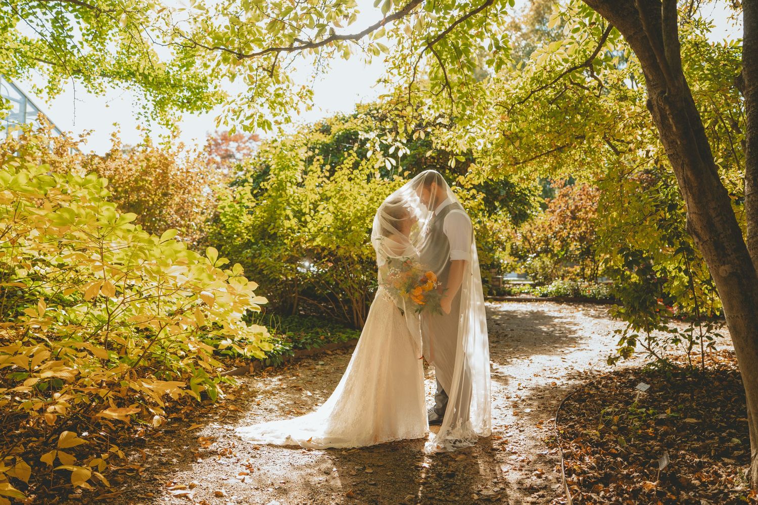 Bride and groom sharing a kiss on a tree-lined autumn path with golden foliage surrounding them.