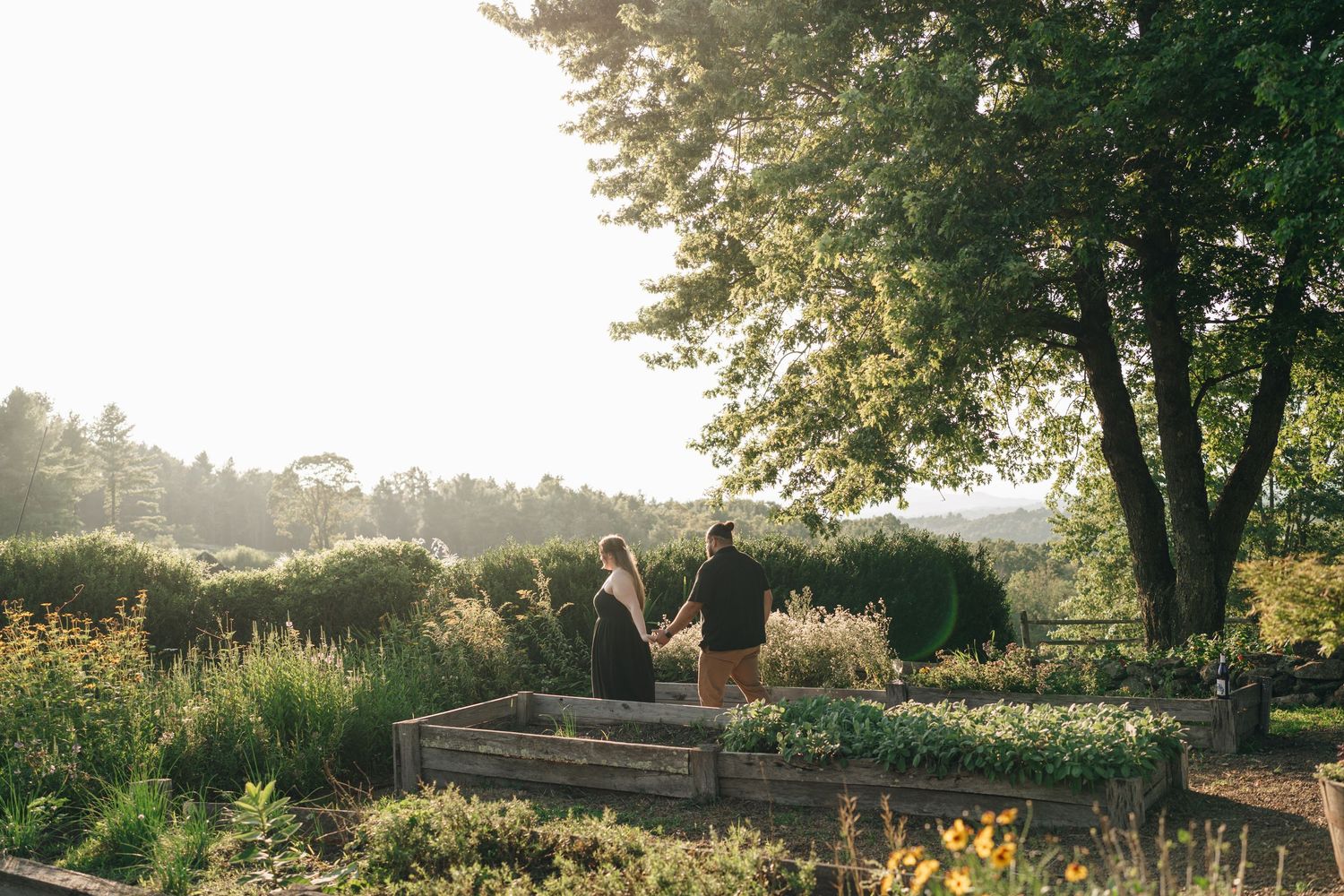 Couple holding hands while walking through a lush garden with raised beds at golden hour.