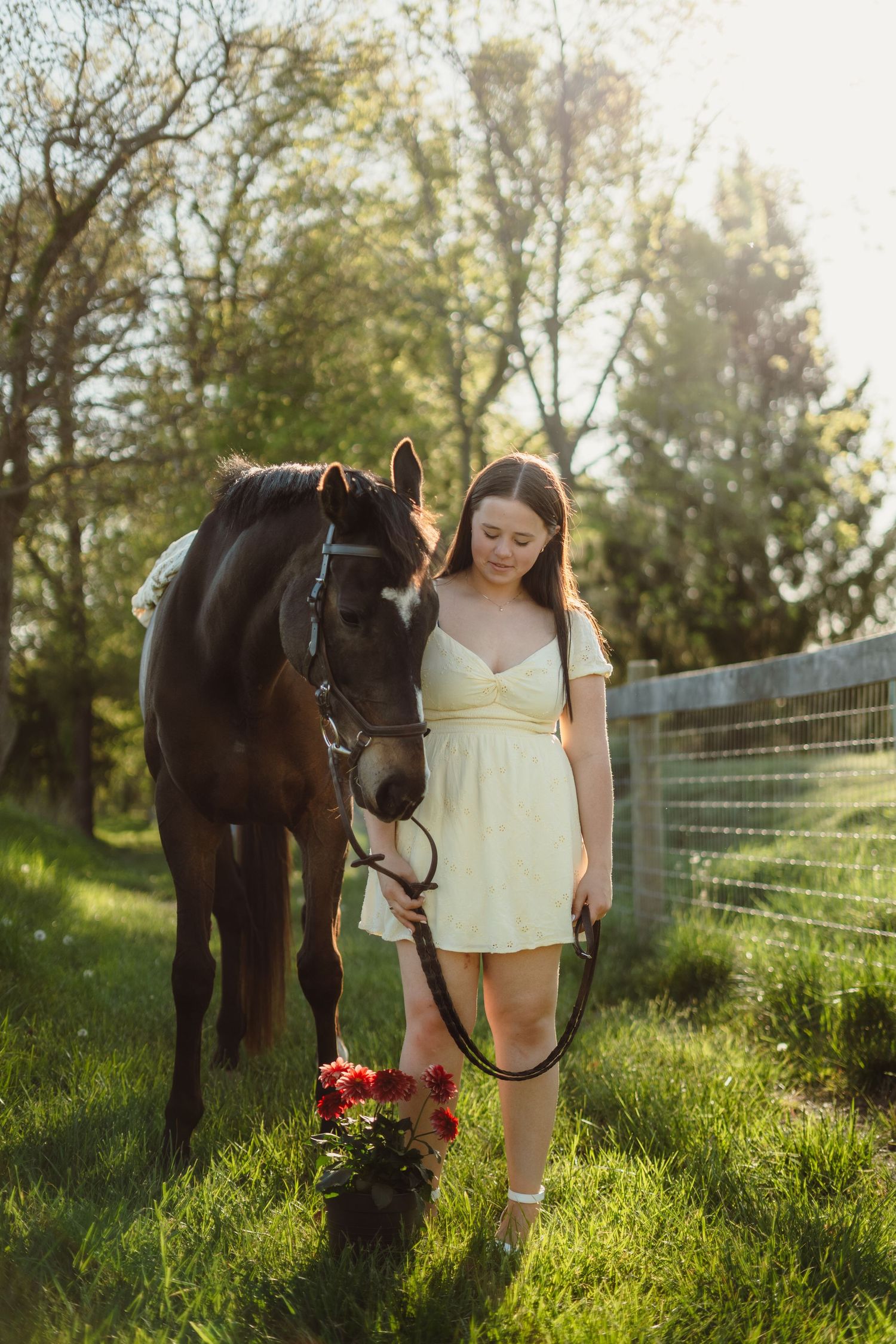 A young woman in a white dress holds a dark horse's lead beside red flowers in a sunlit field.