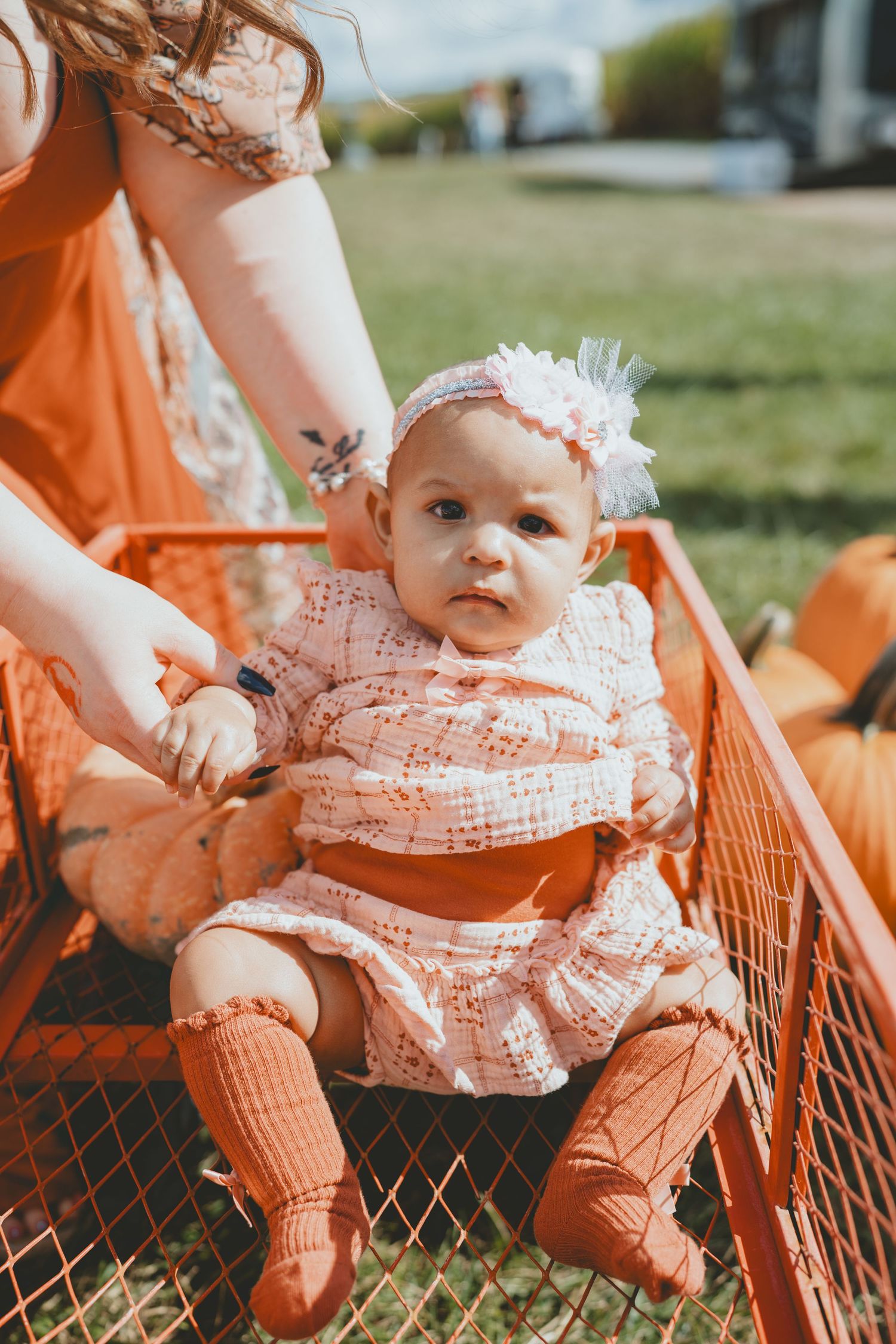 Adorable baby girl in pink dress and orange socks sitting in an orange cart at a pumpkin patch.