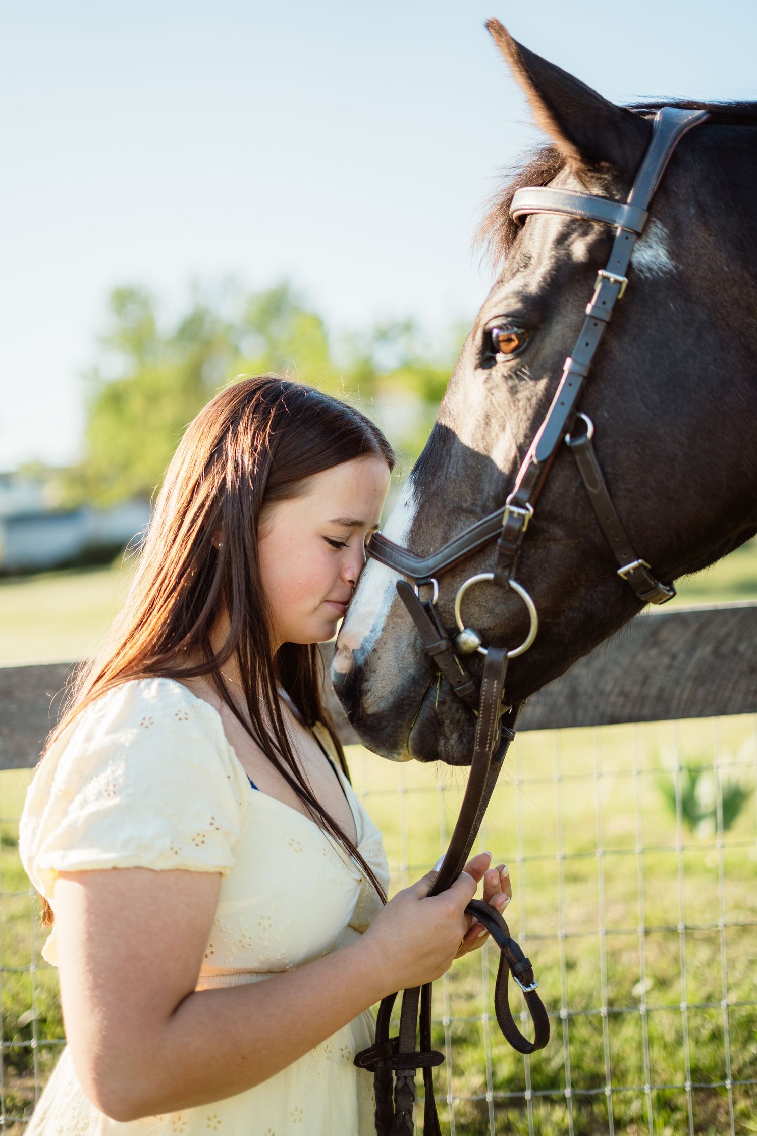 A young woman in a yellow dress gently kisses a dark horse on the nose by a sunny fence.