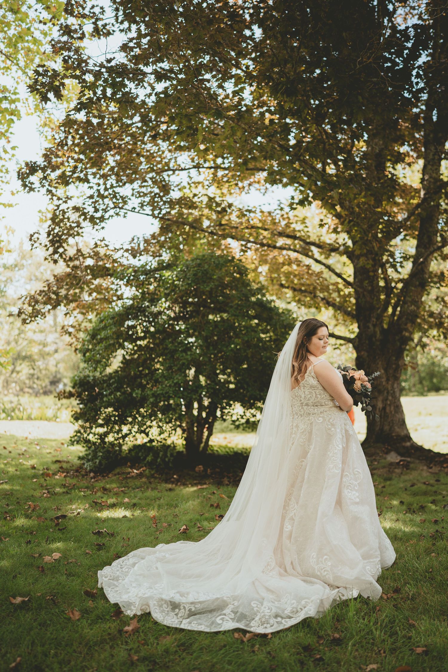 Bride in lace wedding gown with long veil standing under a large tree outdoors.