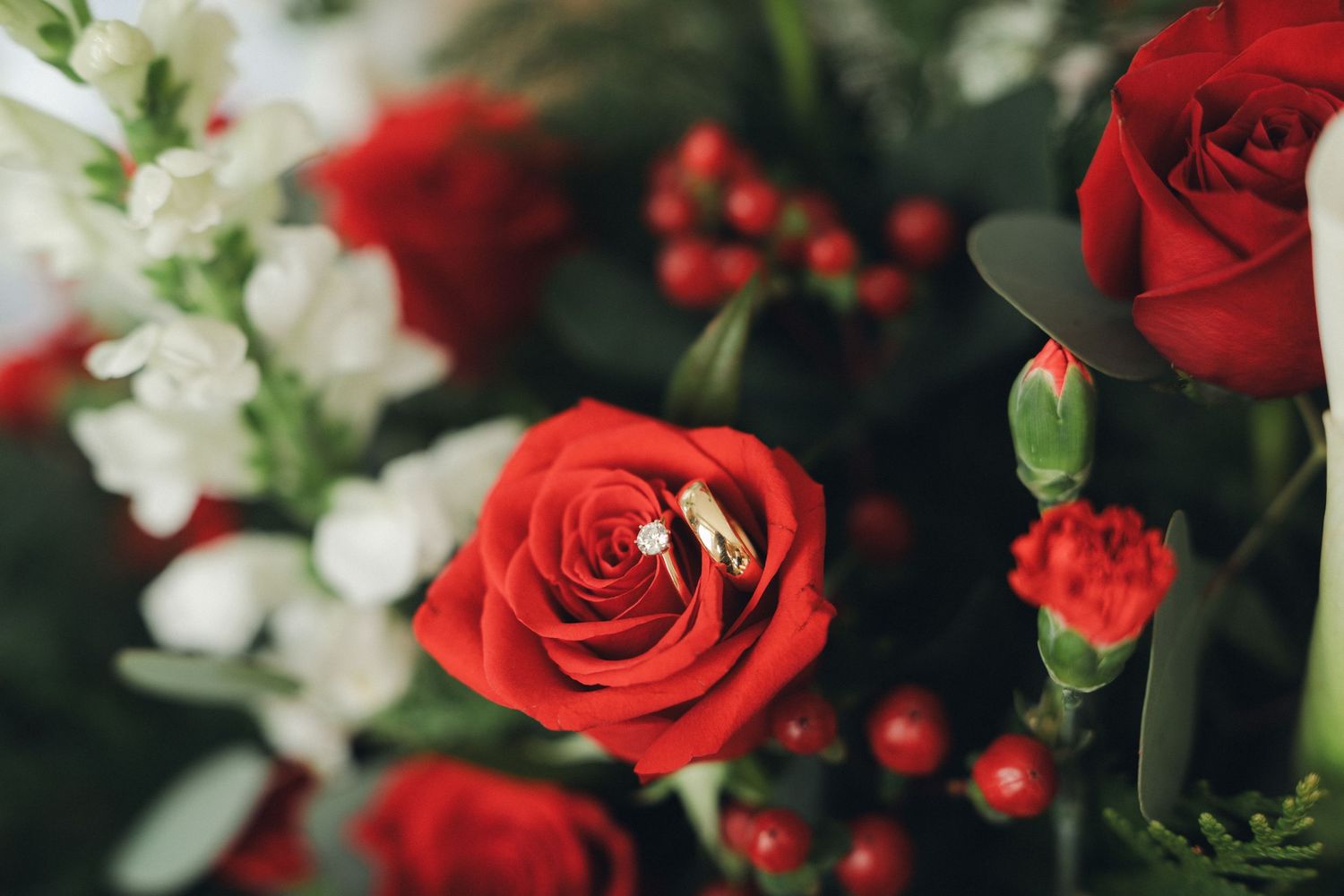 Two gold wedding bands resting on vibrant red roses in bridal bouquet arrangement.