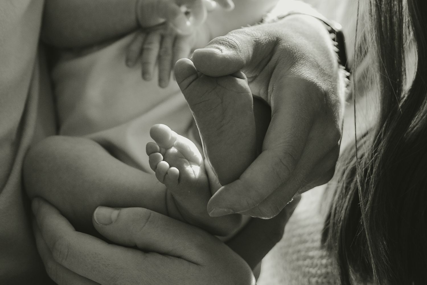 Black and white close-up of parents gently holding tiny newborn baby feet in their hands.