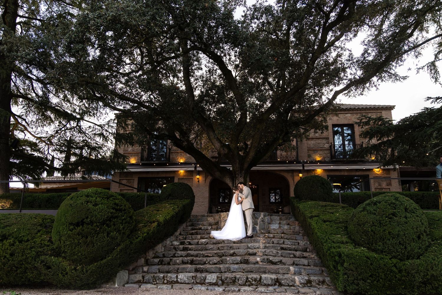 Spain Toledo tree - by Weddings by JACKsBACK Cambridgeshire & Hertfordshire