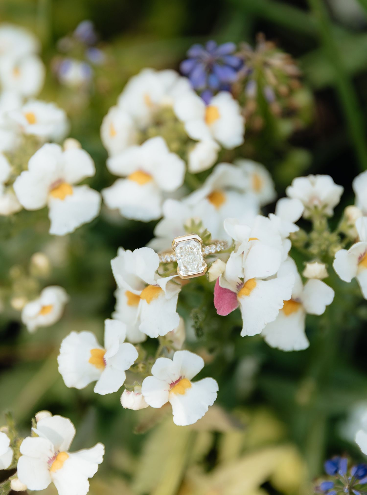 Gold diamond engagement ring resting on white wildflowers with yellow centers and purple blooms in soft bokeh background.