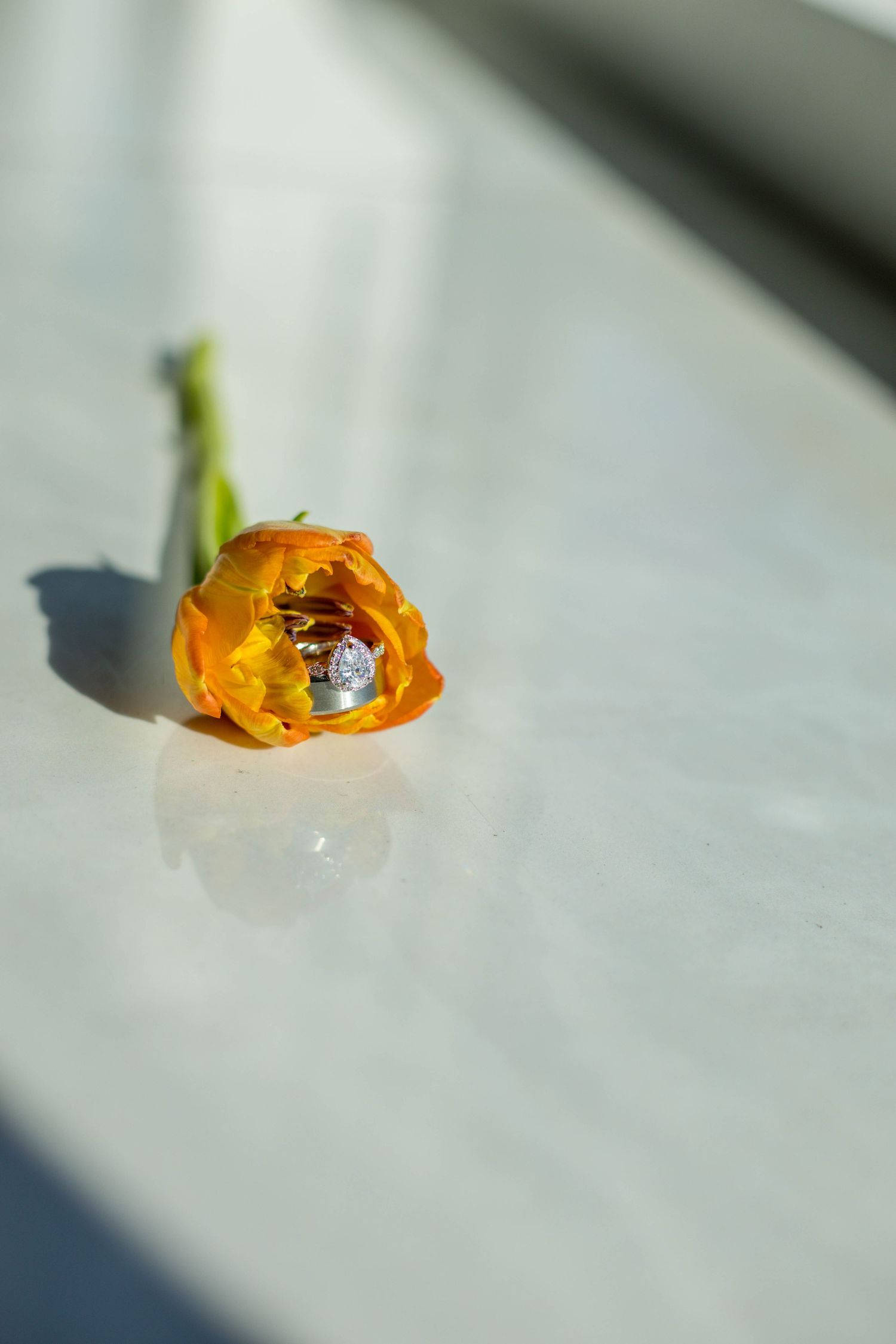 Orange ranunculus flower with diamond engagement ring nestled inside petals on white marble surface in natural light.