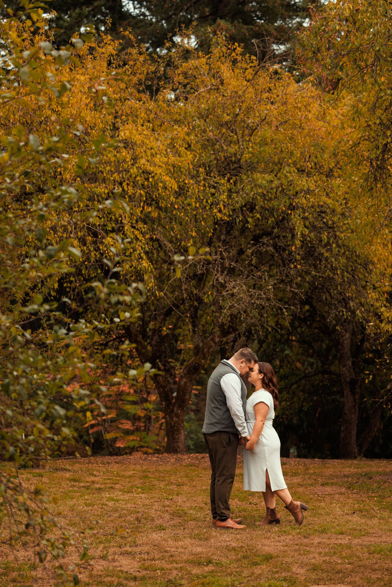 A couple shares a romantic moment in front of autumn trees with golden foliage on brown grass.