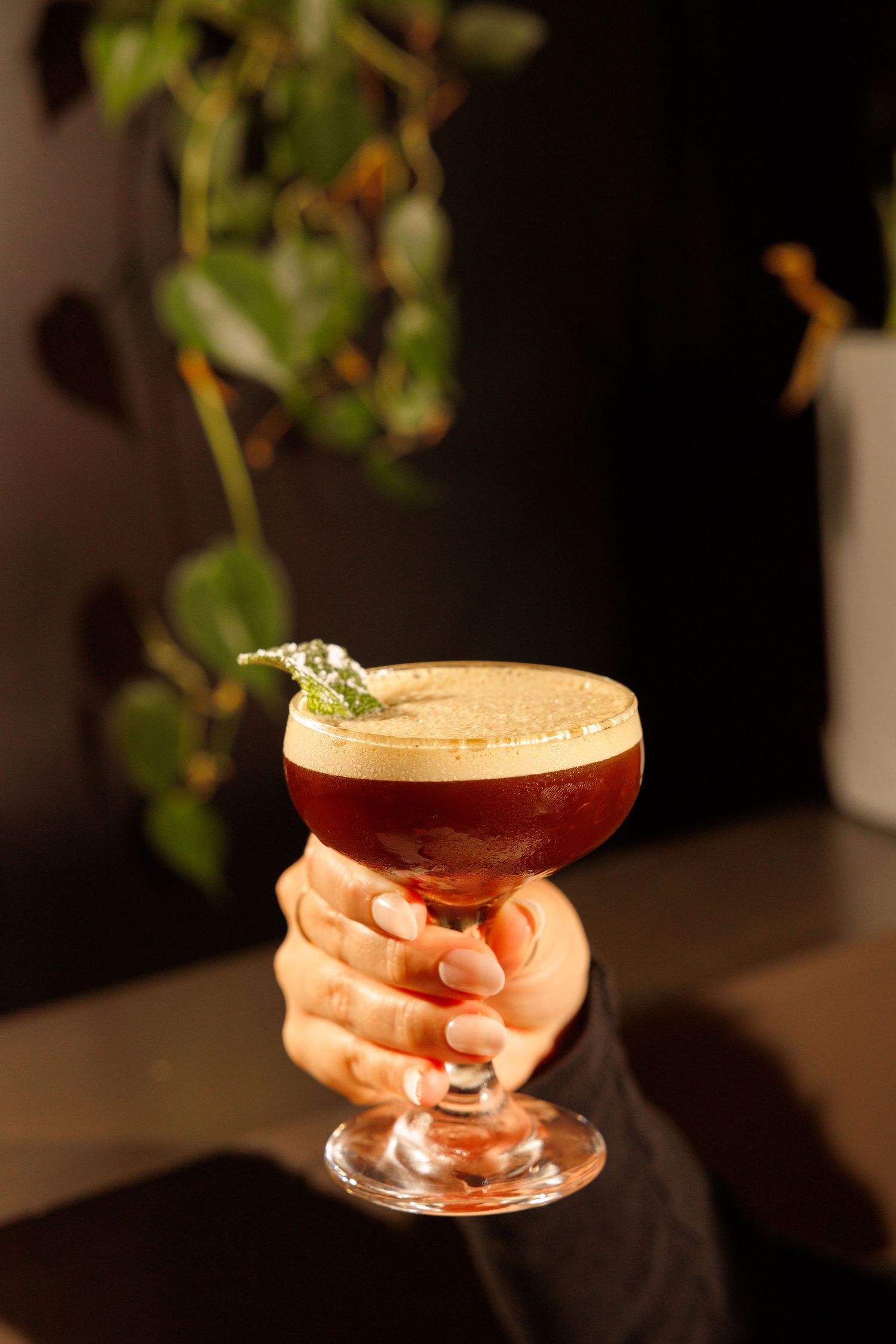 Hand holding an elegant cocktail with reddish-brown liquid and foam garnished with a small herb in a coupe glass.