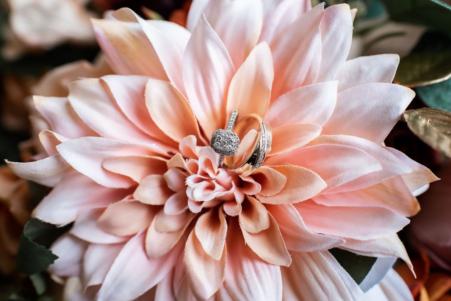 Close-up detail of pale pink dahlia flower with soft petals.