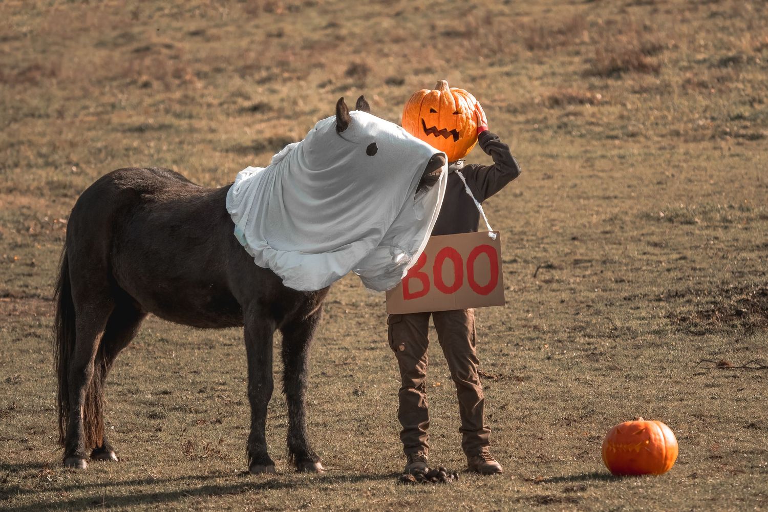 Frau mit Kürbis Maske steht neben Pferd mit Leintuch als Geist, Halloween