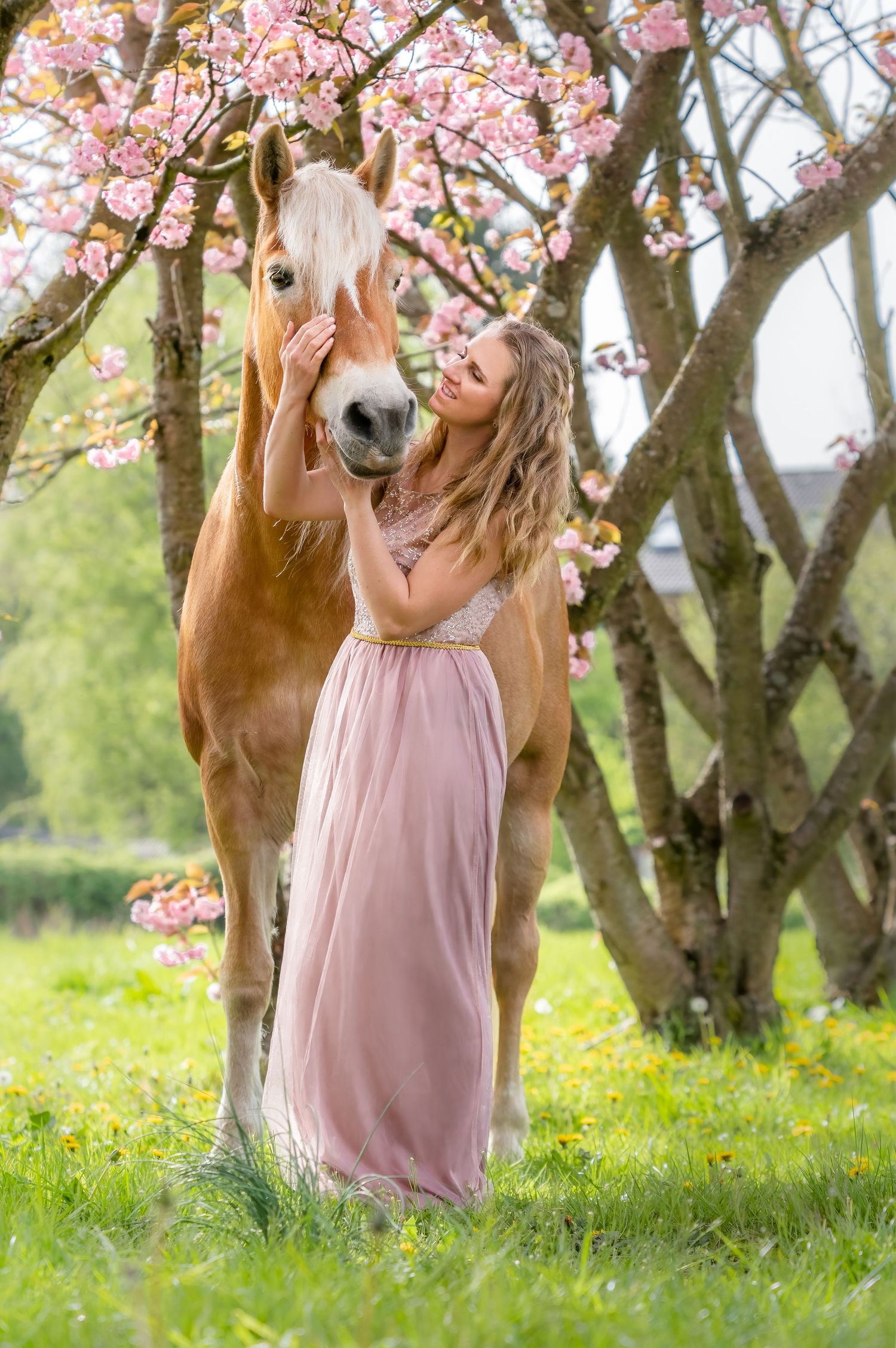 Frau und Pferd vor Kirschblüten