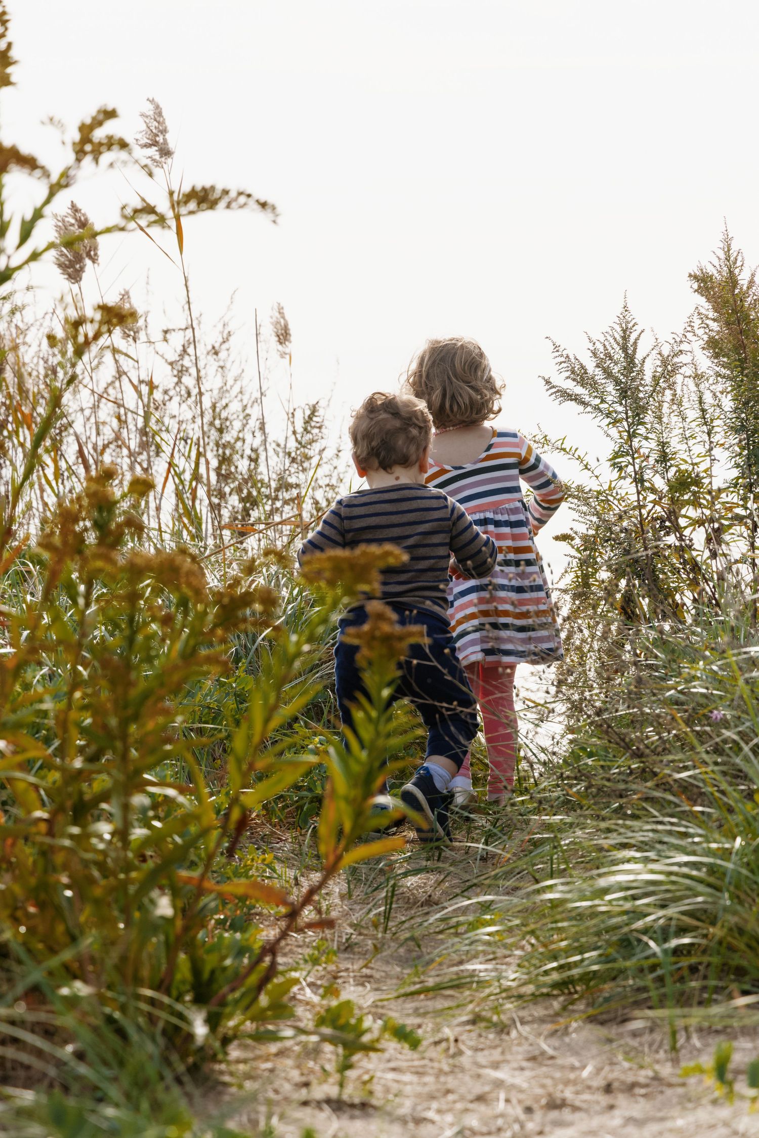 Children exploring through tall beach grass at golden hour.