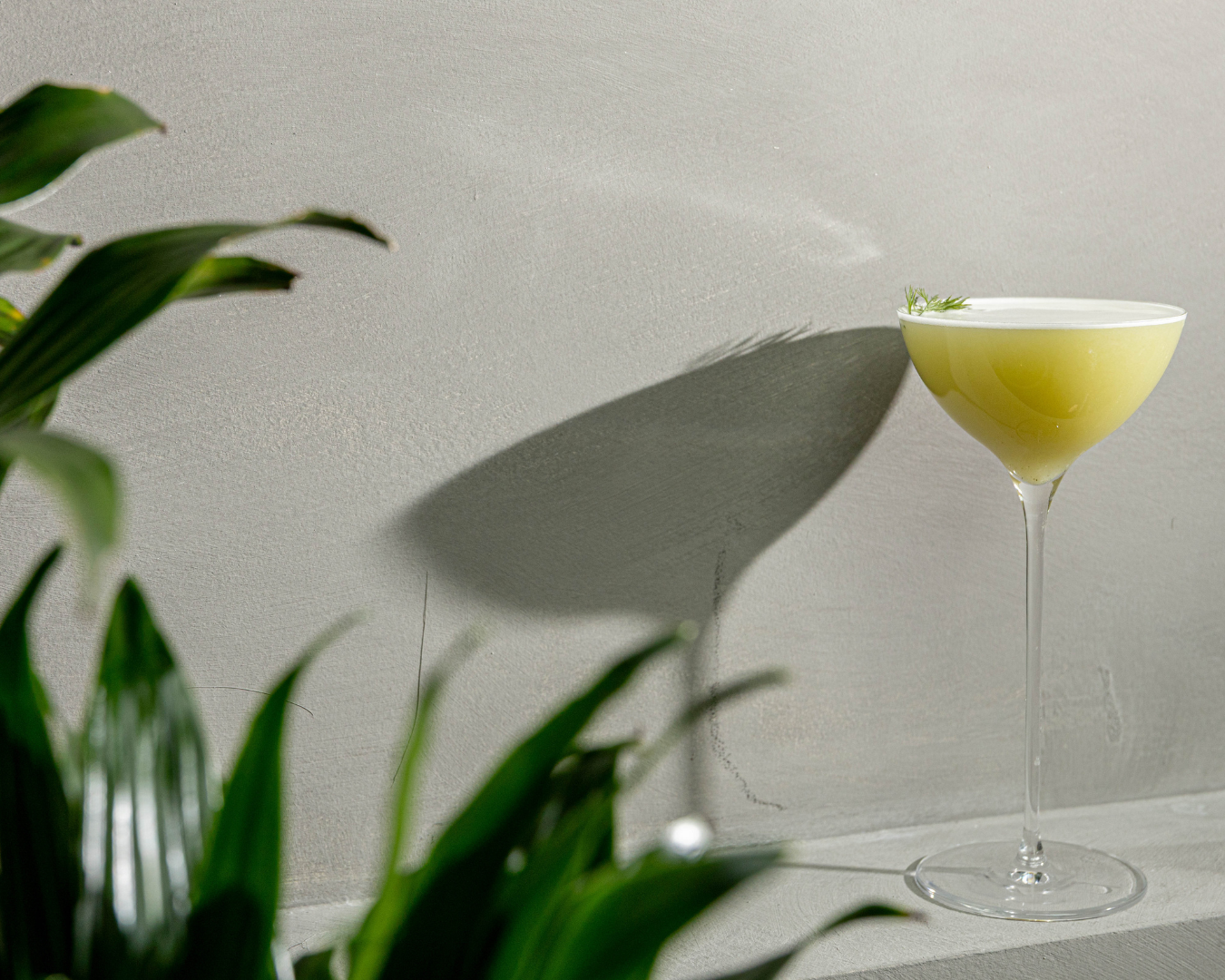 Elegant martini glasses with yellow cocktails against minimalist white background.