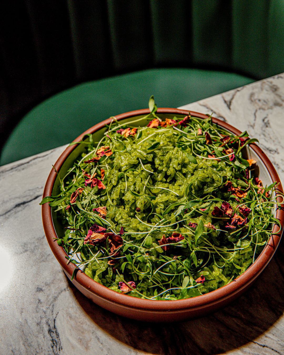 Fresh microgreens and sprouts arranged in a rustic terracotta bowl on a marble surface.