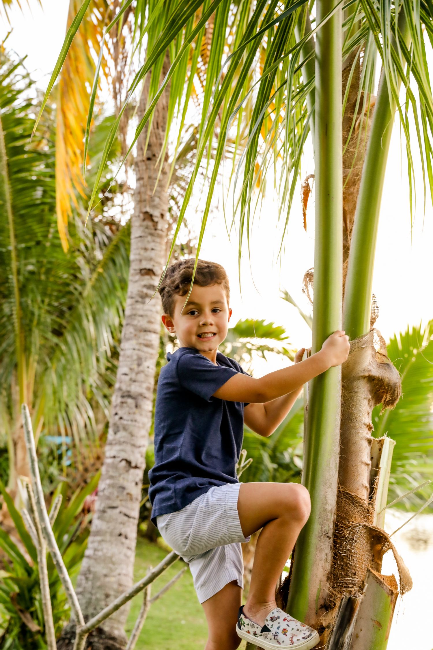 Young child climbing palm trees in a tropical garden setting.