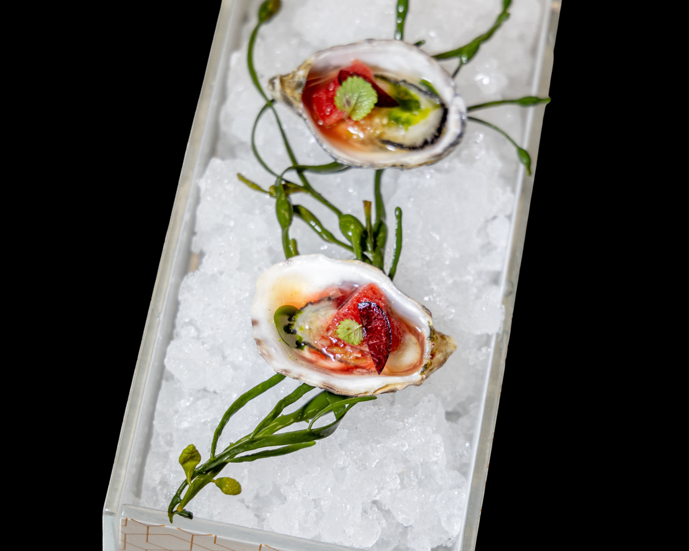 Raw seafood appetizers arranged on crushed ice with delicate herb garnishes.