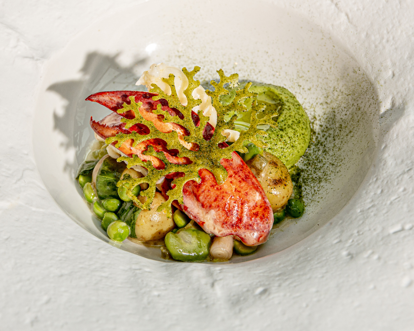 Fresh seafood and vegetables elegantly plated on a white textured dish.