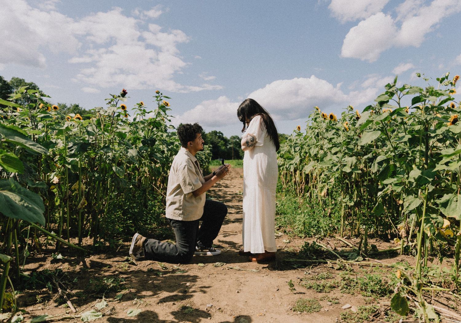 Man proposes on one knee to woman in white dress among tall sunflowers.