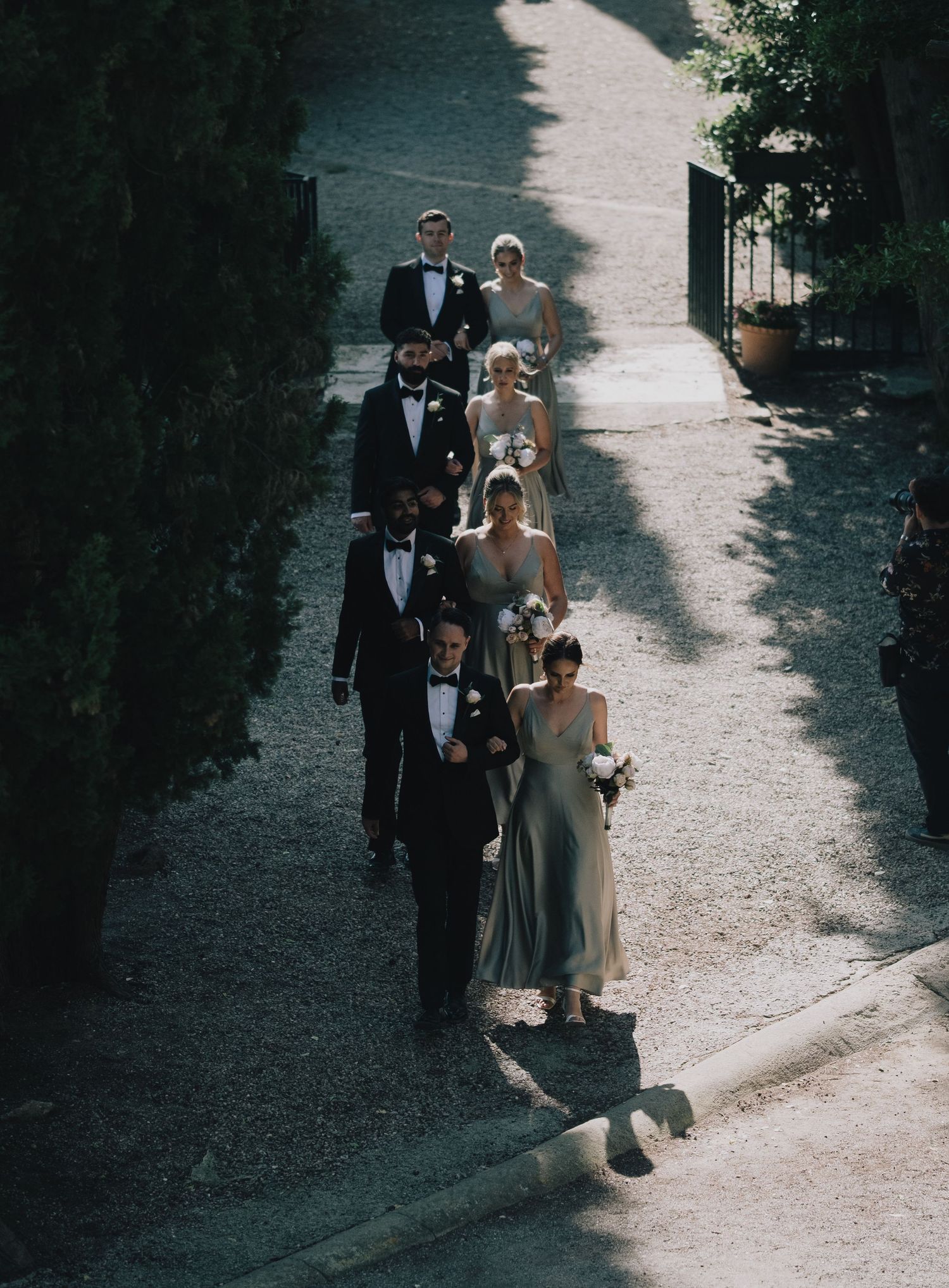 Aerial view of elegant wedding party in formal attire walking in procession along a tree-lined gravel path.