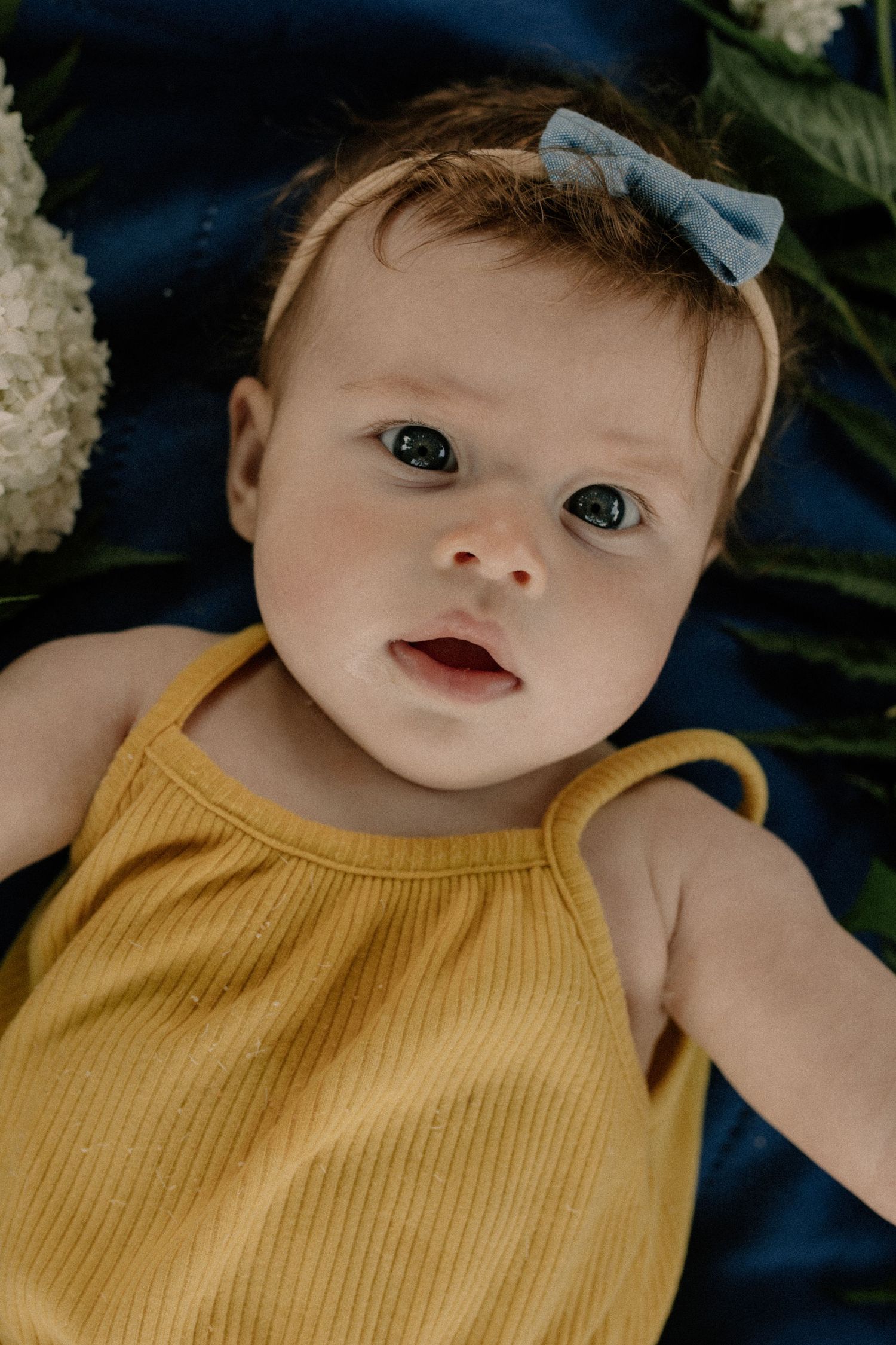 Baby posed for family photos in yellow outfit and blue bow resting on dark fabric with white flowers nearby