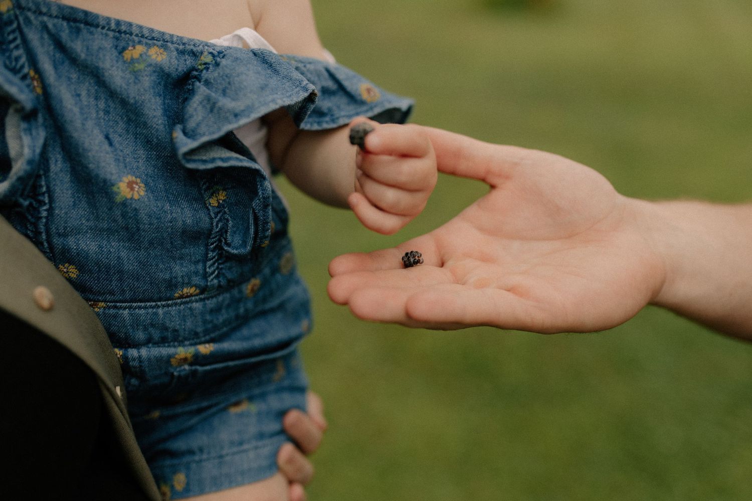 A close-up view of a baby handing their parent a blackberry during documentary-style family photos