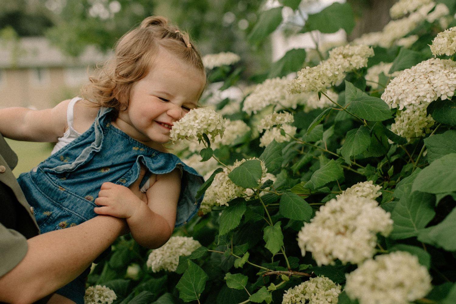 Child exploring white flowering plants in garden setting for candid family photos