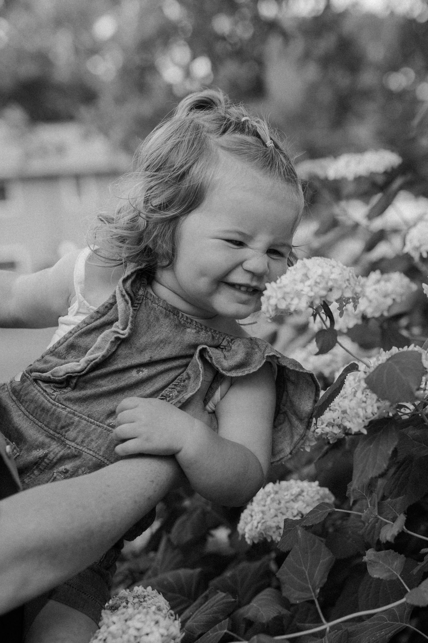Black and white image of joyful moment near flowering bushes during candid family photos