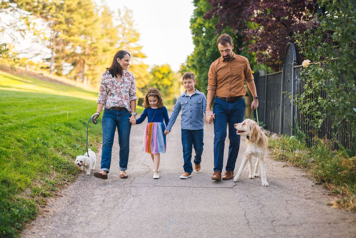 A family takes an evening walk together with their dog on a tree-lined path.