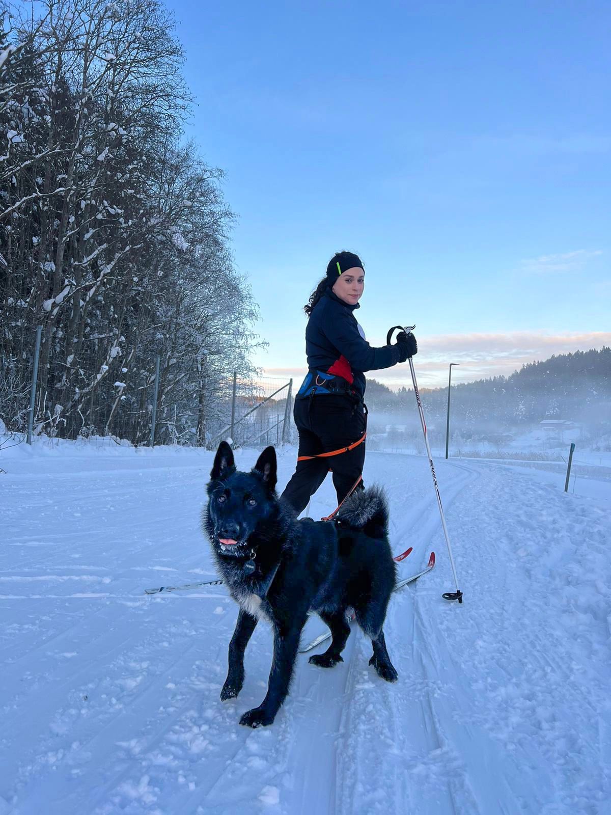 People skiing through a snowy forest landscape with their black dog companion in winter conditions.