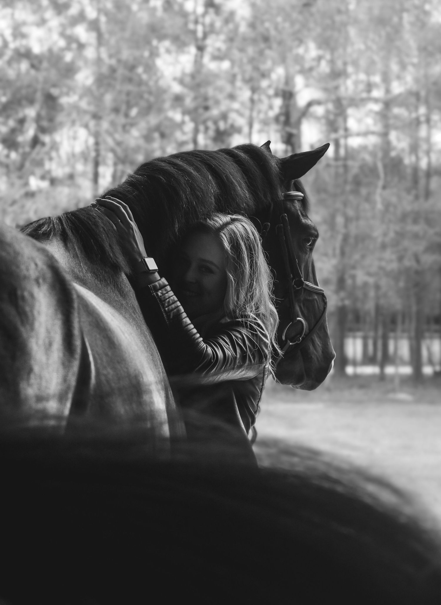 Black and white profile shots of horse with braided mane in misty forest setting.