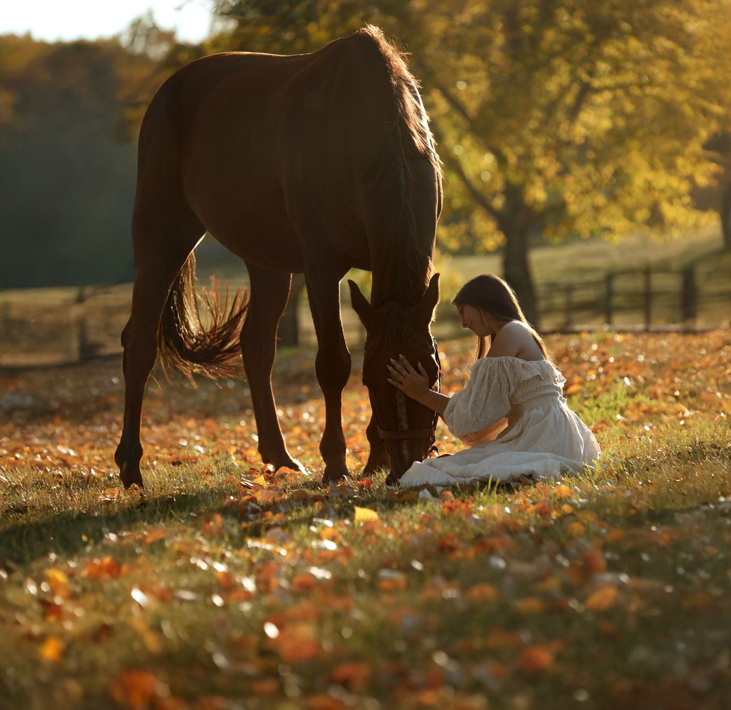 Woman in white dress sits beside a brown horse grazing on autumn leaves in a sunlit field.