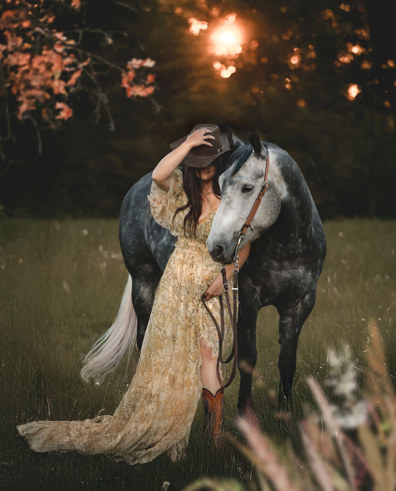 Dramatic evening scene with a black horse and flowing dress illuminated by golden light.