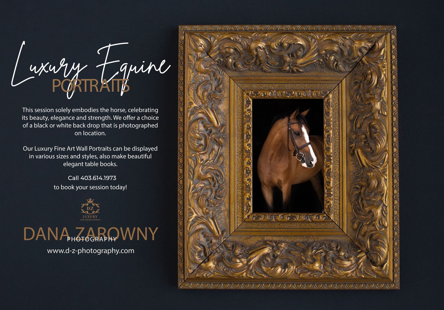 Luxury photography brand design featuring ornate gold frames on dark background.