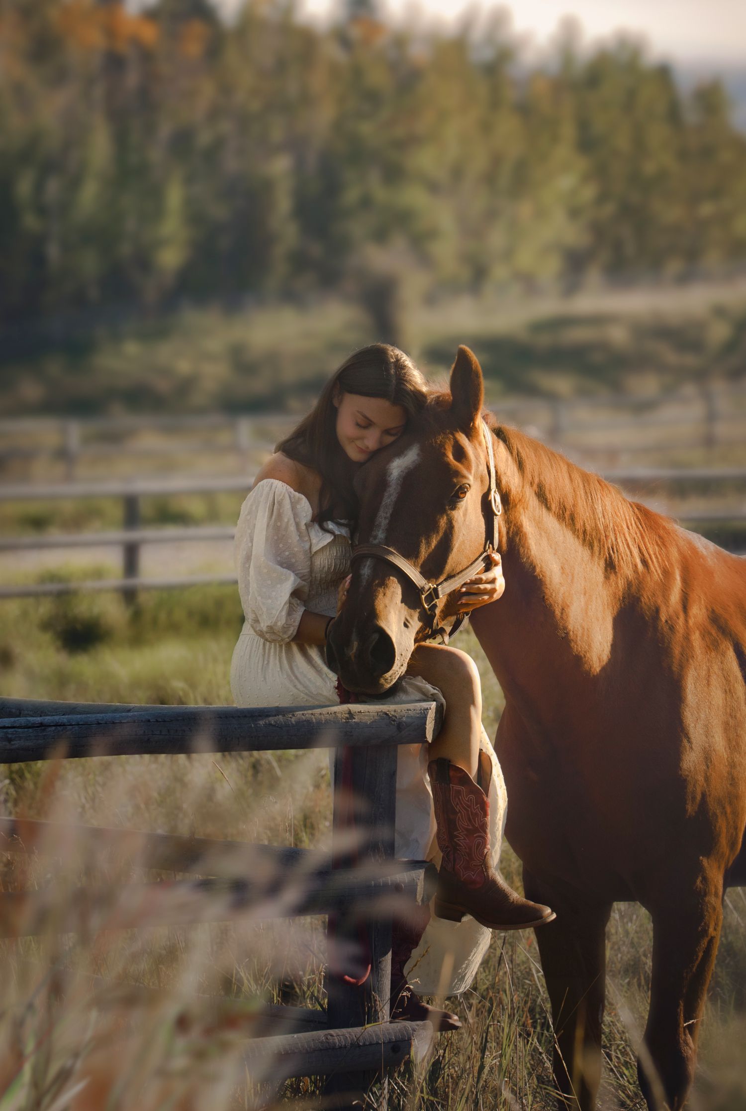 A horse and rider share a quiet moment by a wooden fence in misty morning light.