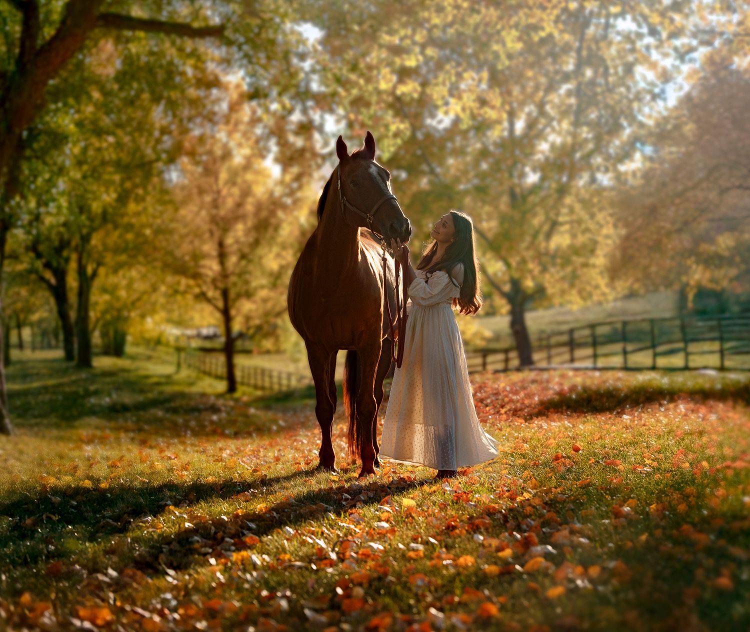 A panoramic view of horse and rider walking through fallen autumn leaves.