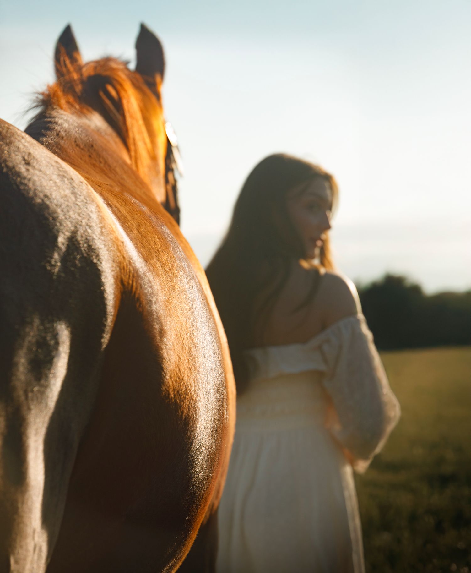 A woman in a white dress stands beside a chestnut horse in a sunlit field at golden hour.