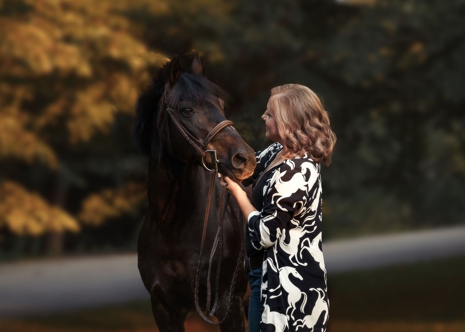 Series of equestrian photos showing a horse and rider in dramatic lighting.
