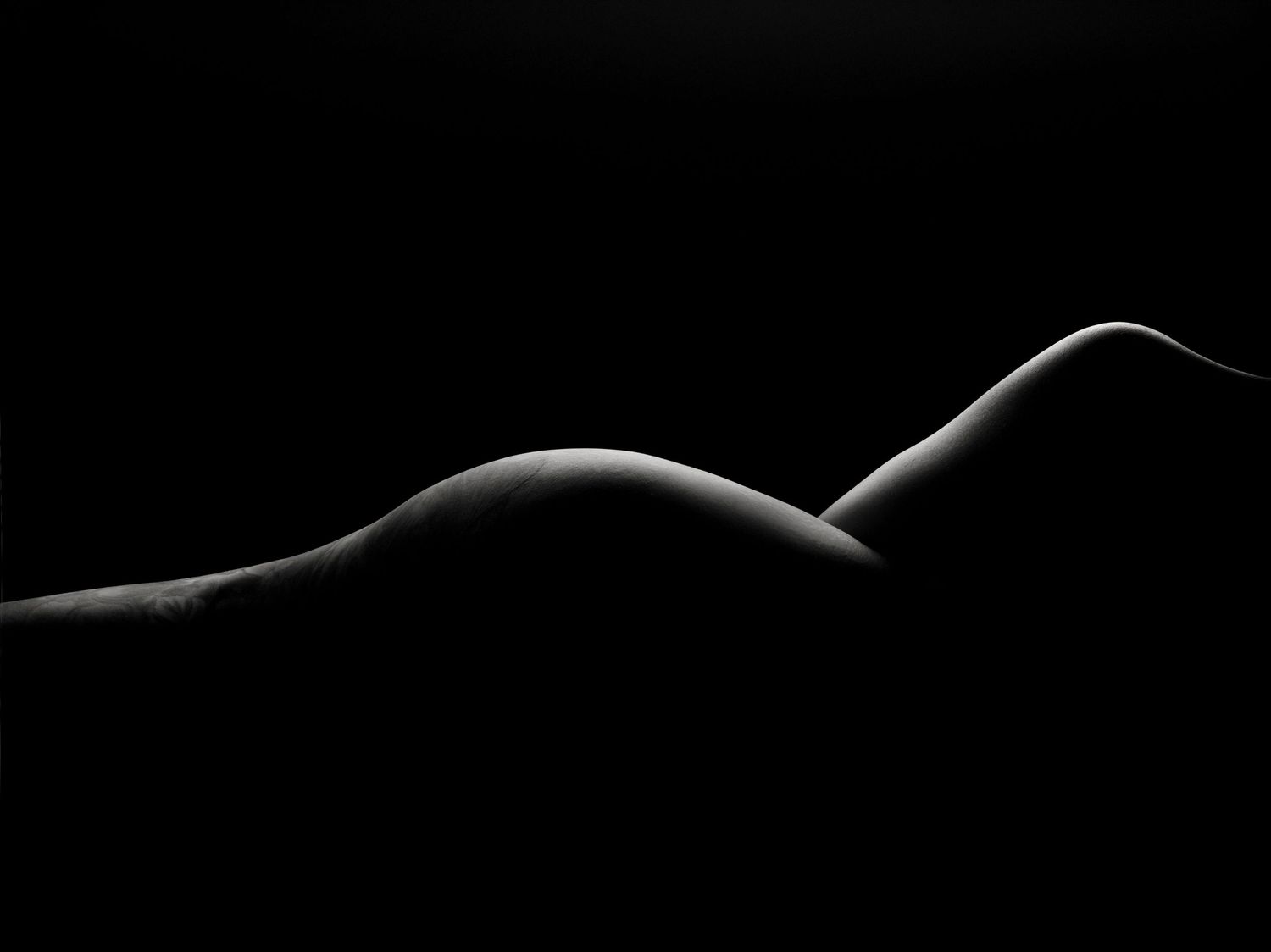 Black and white artistic nude bodyscape photograph highlighting elegant curves against a dark background.
