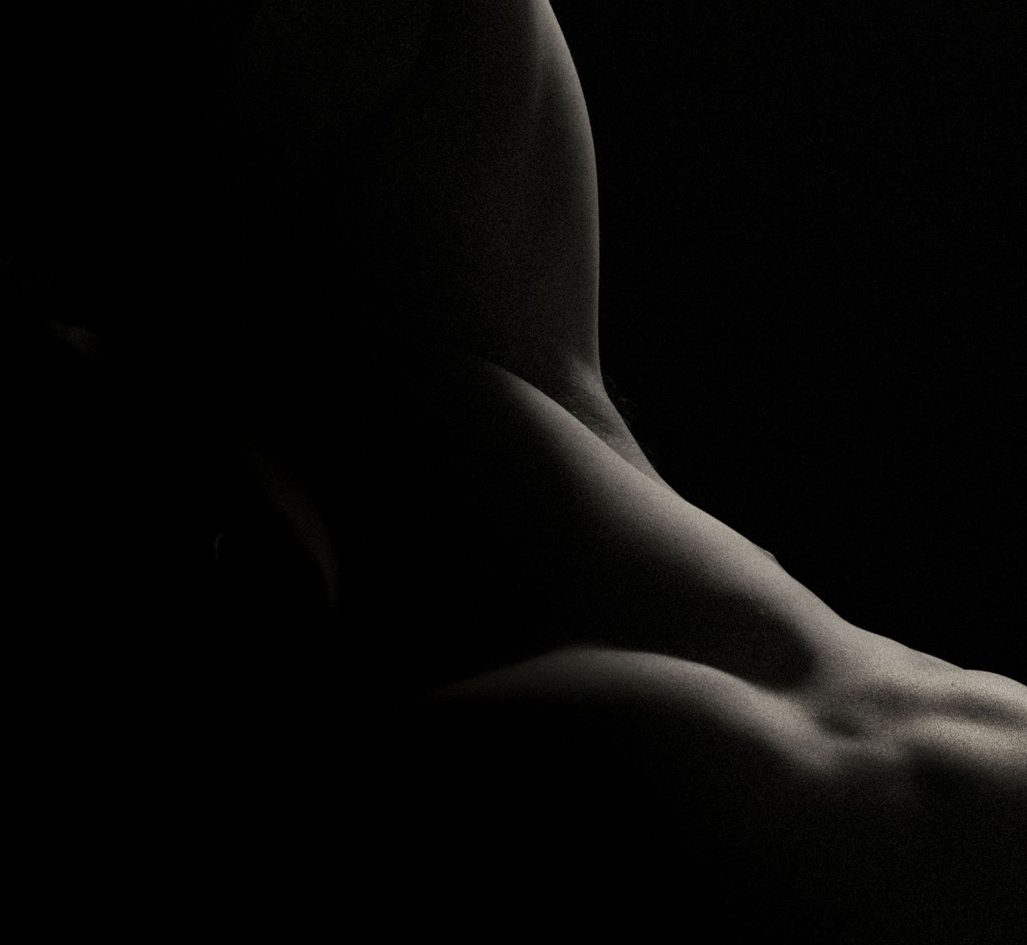 Close-up artistic black and white photograph highlighting the curves and muscles of a human back in dramatic lighting.