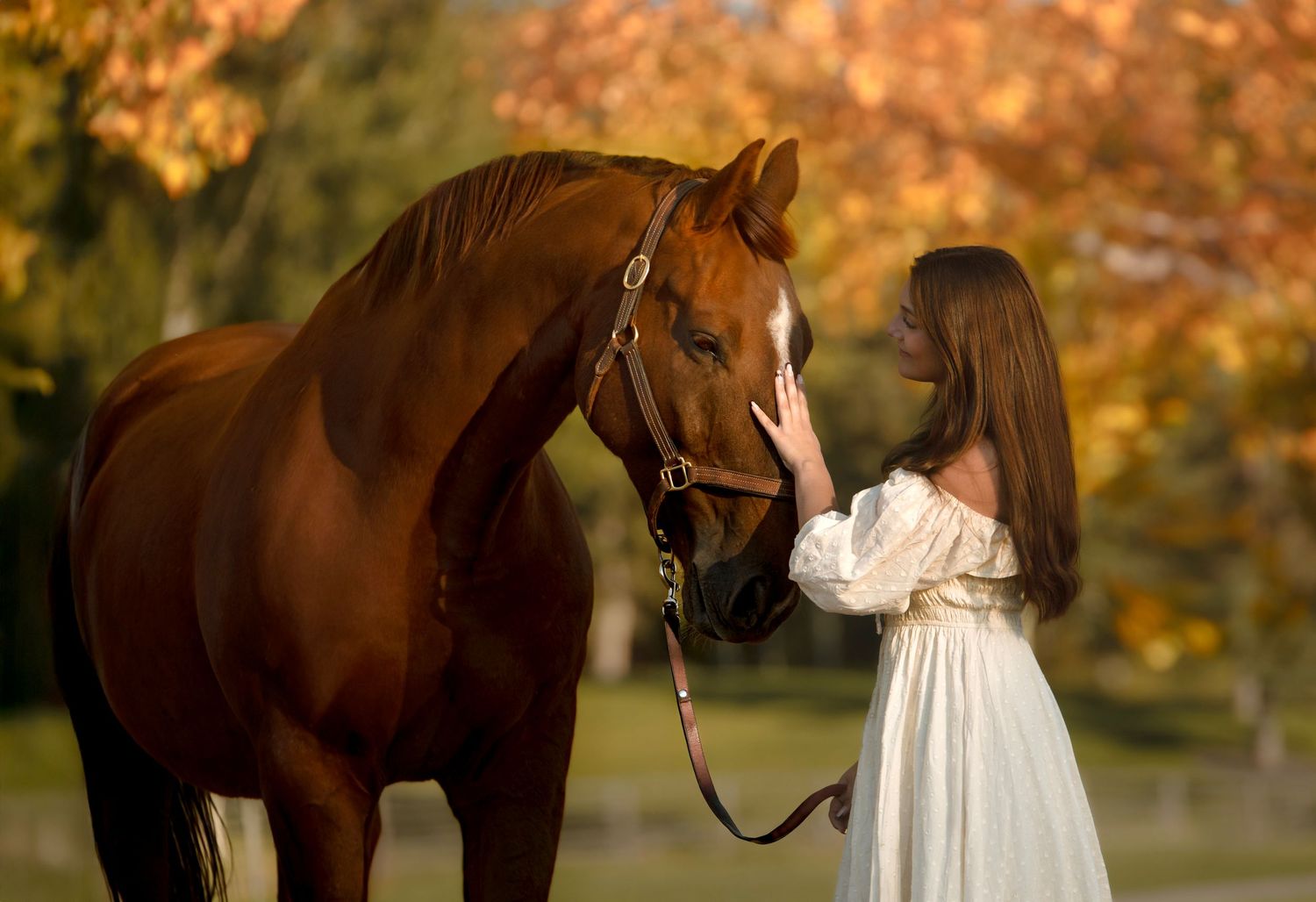 A brown horse and rider in white dress pose together amid fall foliage.